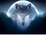 Wolf Pack -Join Today-
