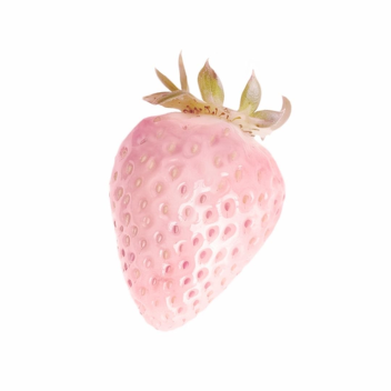 ♡ 