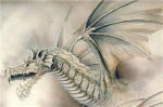 WHITE DRAGONS