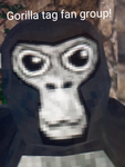 Gorilla tag fans group!
