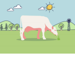 Cartoon cow