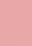 Labellestarfleur123