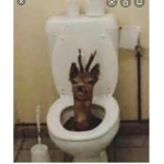 Toilet deer