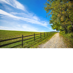 dream path