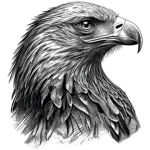 Blackhawk Vanguard