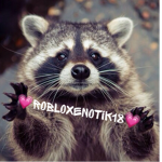 Robloxenotik18(Мои енотики)