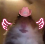 •Secrets Squad• also known as Hamster Cult UvU