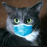 Cat Virus (Cute)