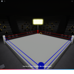 Raven Boxing