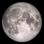 moonfamily