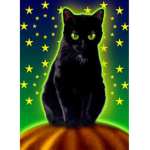 <3 Kitty - Cats <3