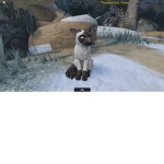 CrystalClan's WC/UE