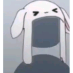 *Domi*