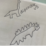 laylas fanclub
