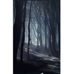 Mysterious woods