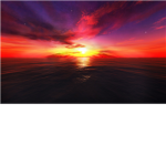 The Test Of Life