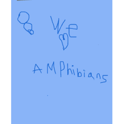 amphibian hangout