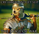 DogeWarriors