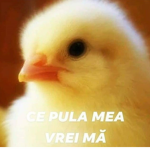 Gabimania