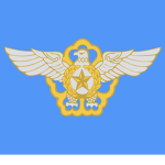 Republic of Korea Air Force / 대한민국 공군