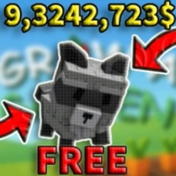 Free Raccoon