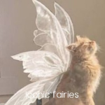 - iconic fairies -