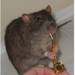 Group Thumbnail