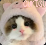 {-pet group-}