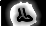 Eggdog supporters