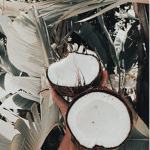 Sunkissedcoconut