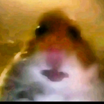 PETSimulatorz