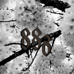 [888]