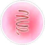 Speed Coil (Permanent)