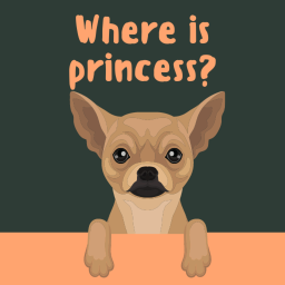 Where is princess? (OBBY)