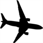 Roblox airline Cool