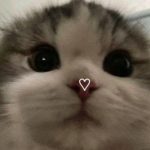 A n g e l s s s