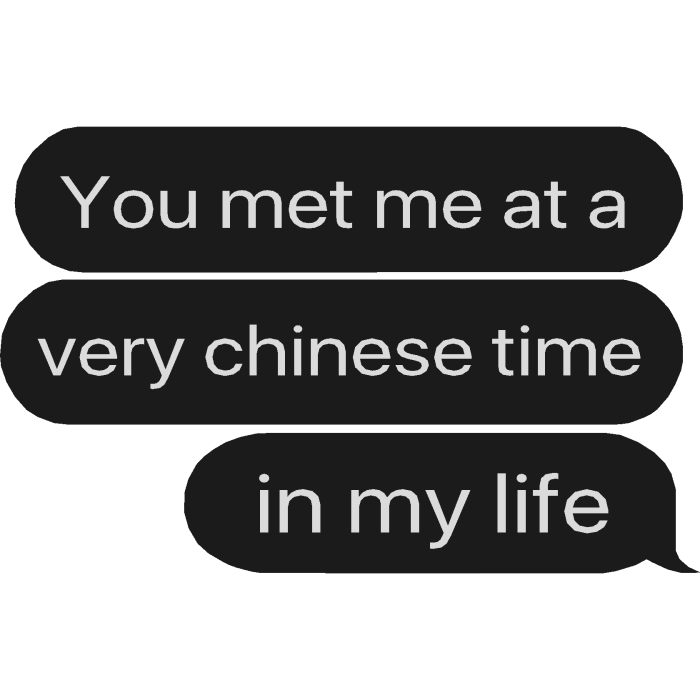 You met me at a very chinese time in my life text