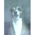 ExclusiveTalks Group Thumbnail