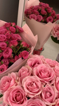 Rose’s DTI Farming