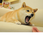 ...........;.;.....................;.;.;.;.;.;.;.;