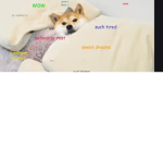 doge gang boys