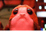 P org Masters