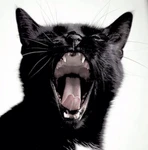 Vampurr Group Thumbnail