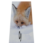 Cy Fox Cape
