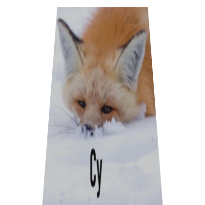 Cy Fox Cape Roblox item
