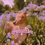 AngeIism