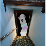 Pigeon’s Stu!