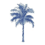 llouze