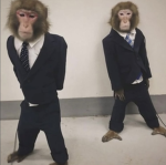 The werid but cool roblox clothing