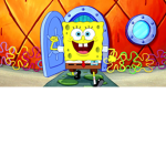 Sponge fan group!